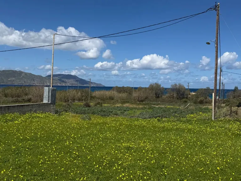 oikopedo pros polisi