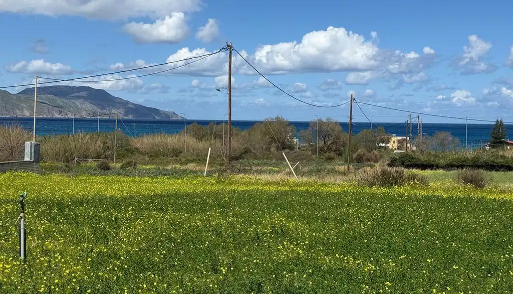 oikopedo pros polisi